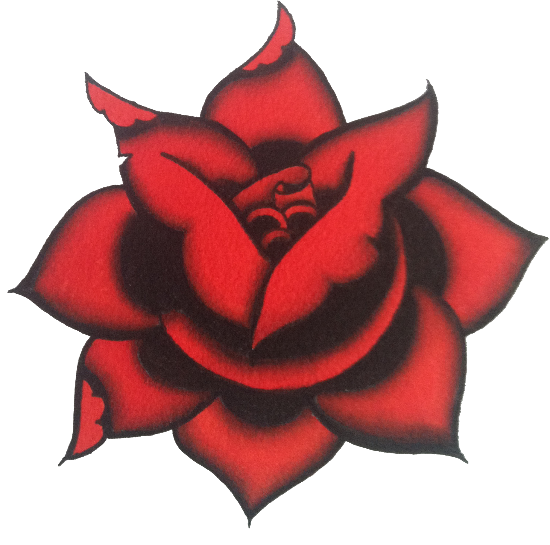 Garden Roses Clipart (1824x1810), Png Download