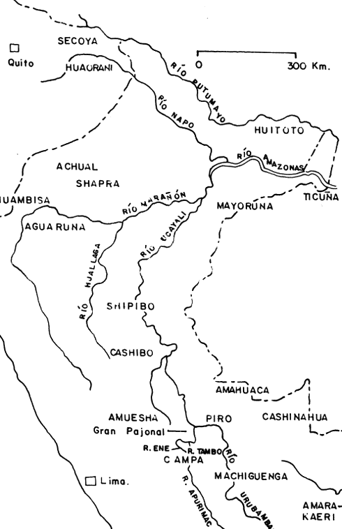 Grupos Idiomáticos De La Amazonía Peruana - Map Clipart (490x758), Png Download