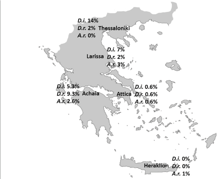 The Map Of Greece Showing The Areas Of Investigation - Greece Map Clipart (850x600), Png Download
