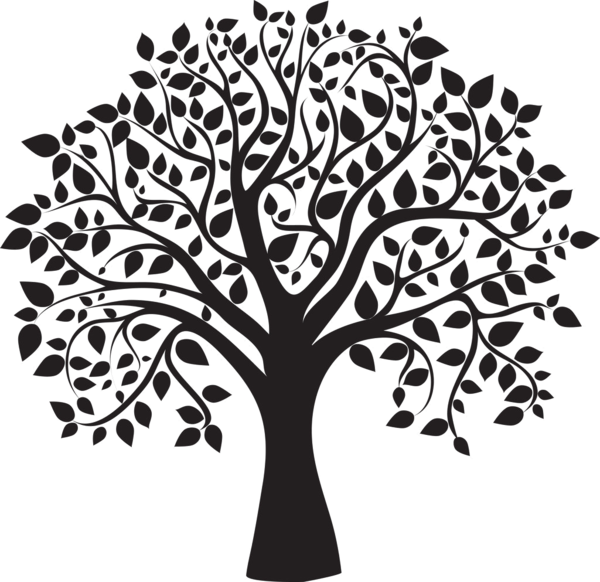 Arbre Silhouette Png - Tree Clipart Black And White Transparent Png (600x582), Png Download