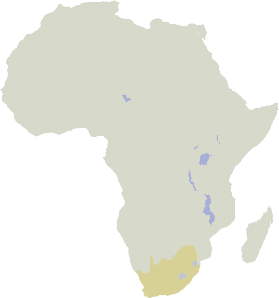 Insidiousness To South Africa - Africa Map No Background Clipart (960x1024), Png Download