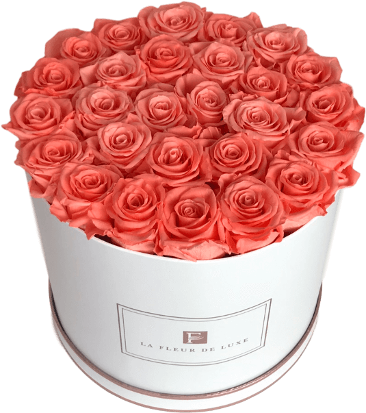 Prev - Garden Roses Clipart (600x700), Png Download