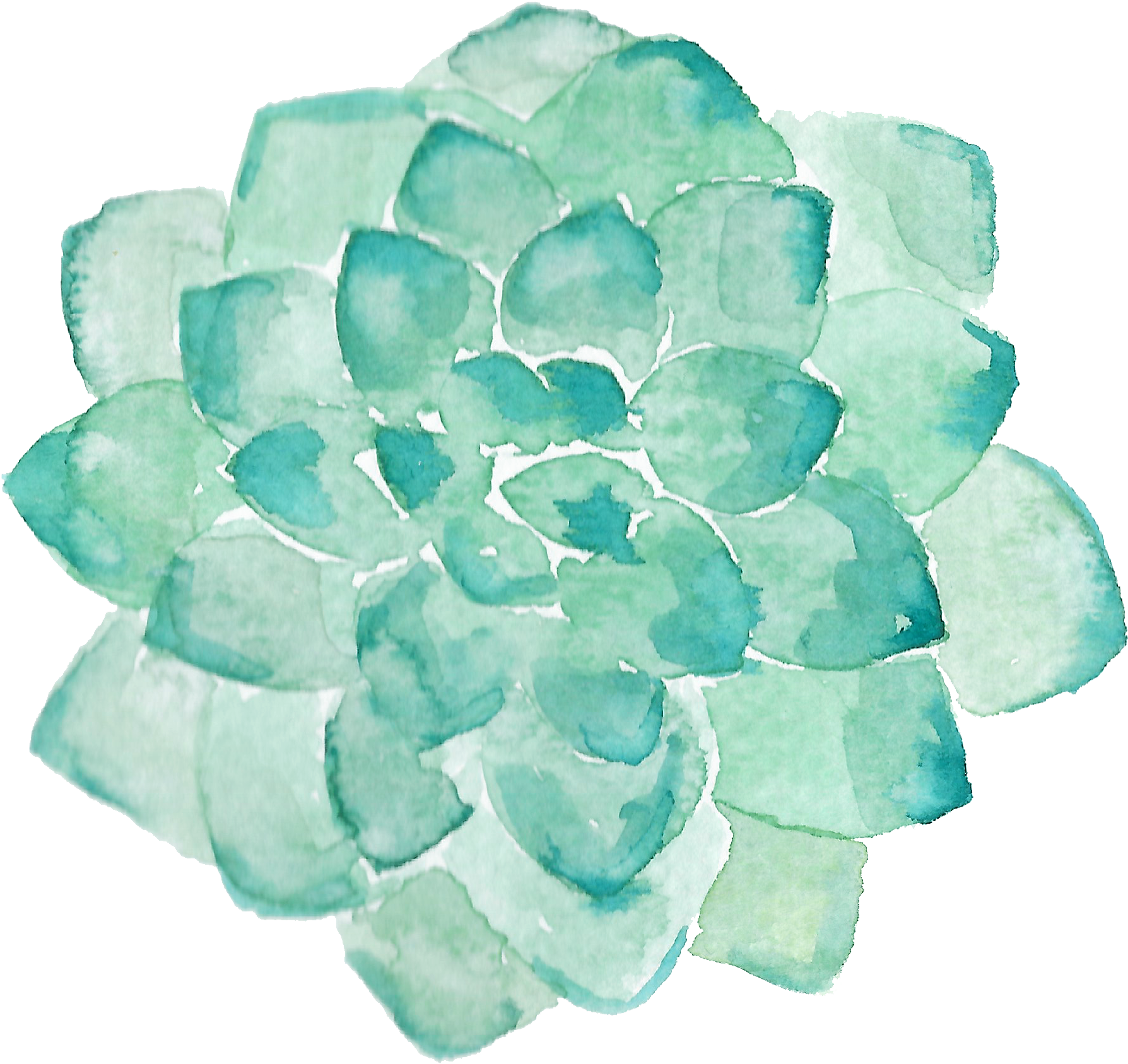 Towel, Printing, Succulent Plant, Petal, Turquoise - Watercolor Succulent Clipart (1952x1888), Png Download