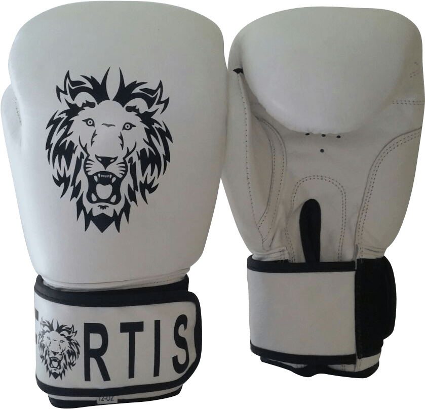 Boxing Gloves - Amateur Boxing Clipart (1600x900), Png Download