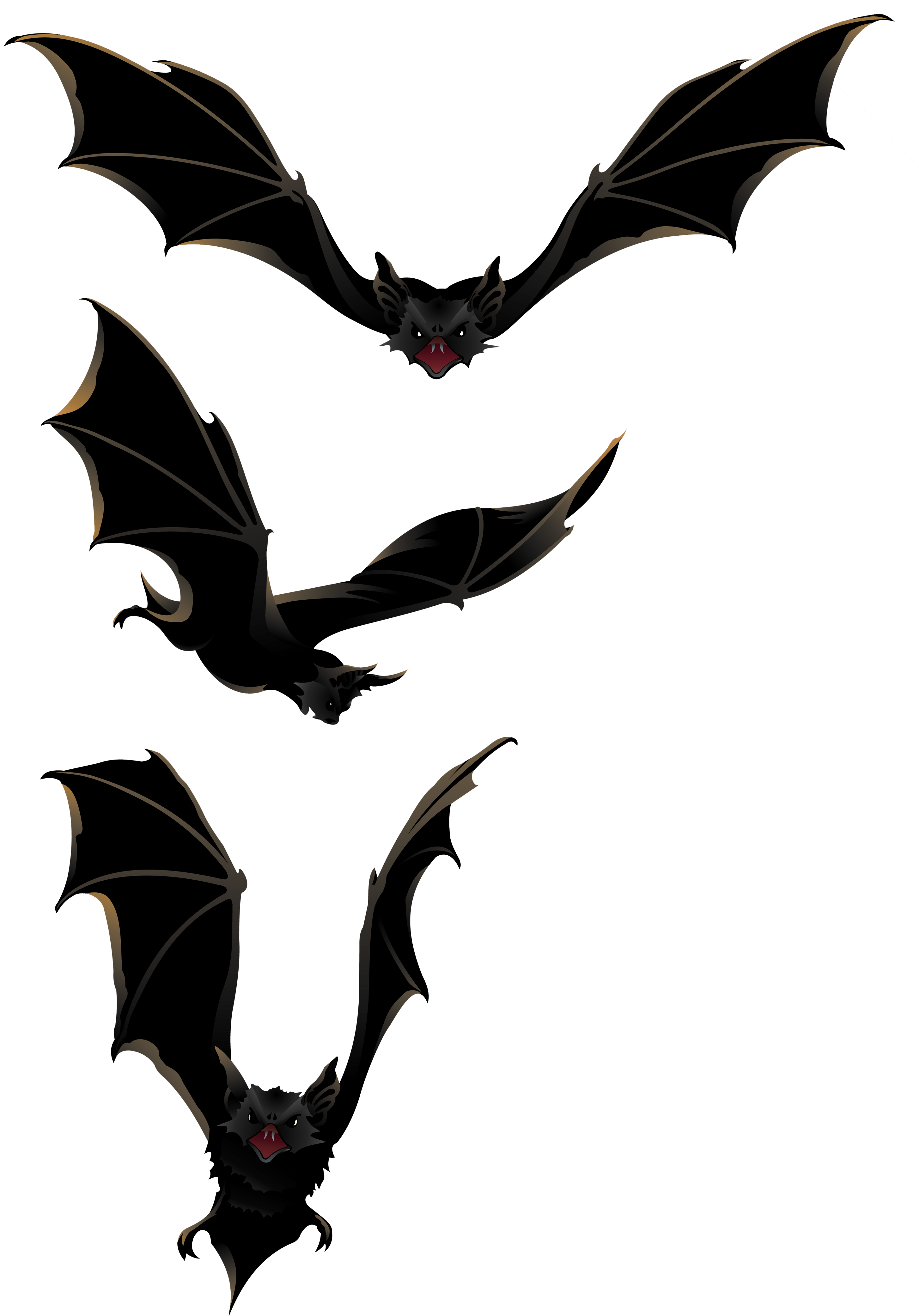 Halloween Png Bats Clipart - Bats Clipart Png Transparent Png (2946x4229), Png Download