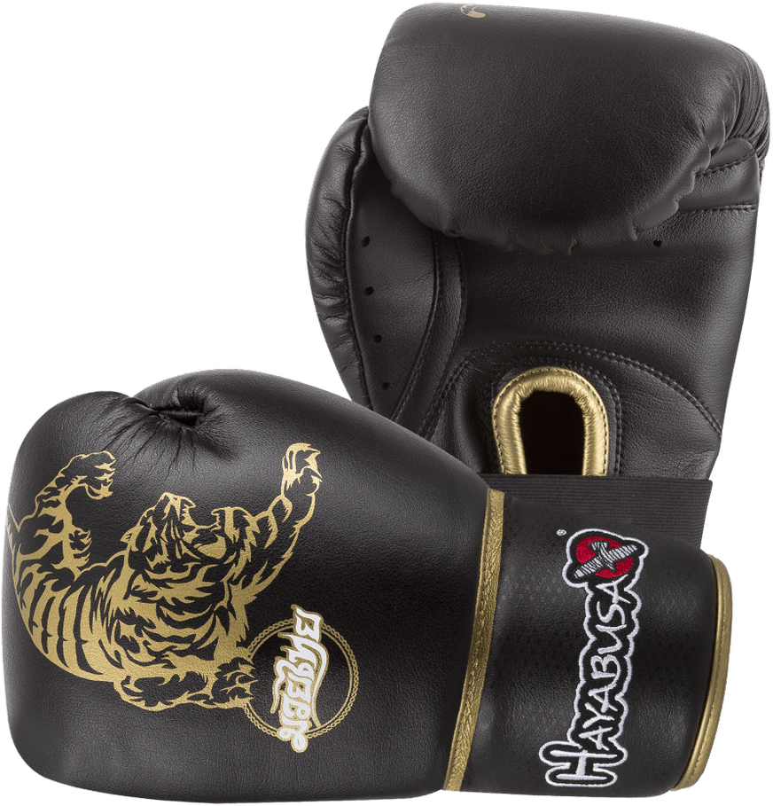 Muay Thai 10oz Gloves - Guantoni Hayabusa Clipart (940x940), Png Download
