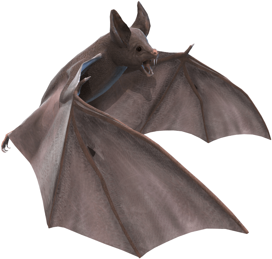 Animals - Bat Stock Clipart (1209x932), Png Download