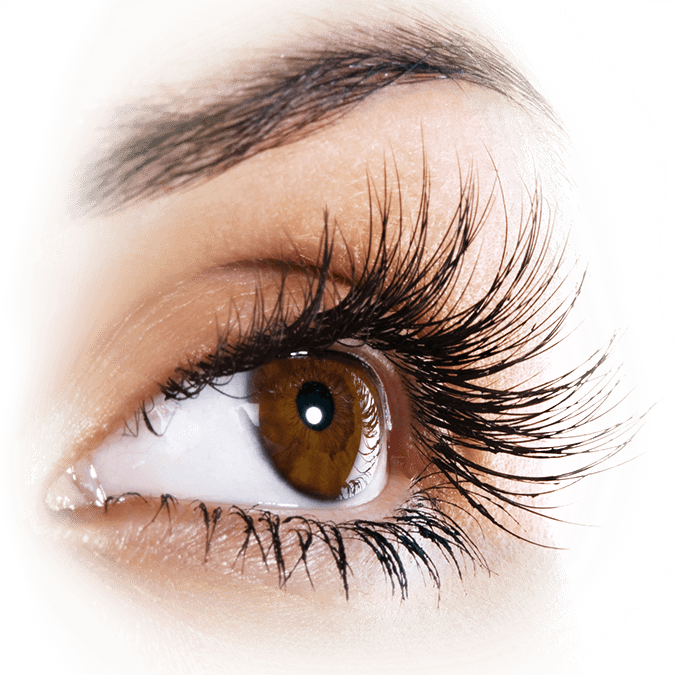 Grow Eyelashes Up To - Strong Eyelashes Clipart (675x675), Png Download