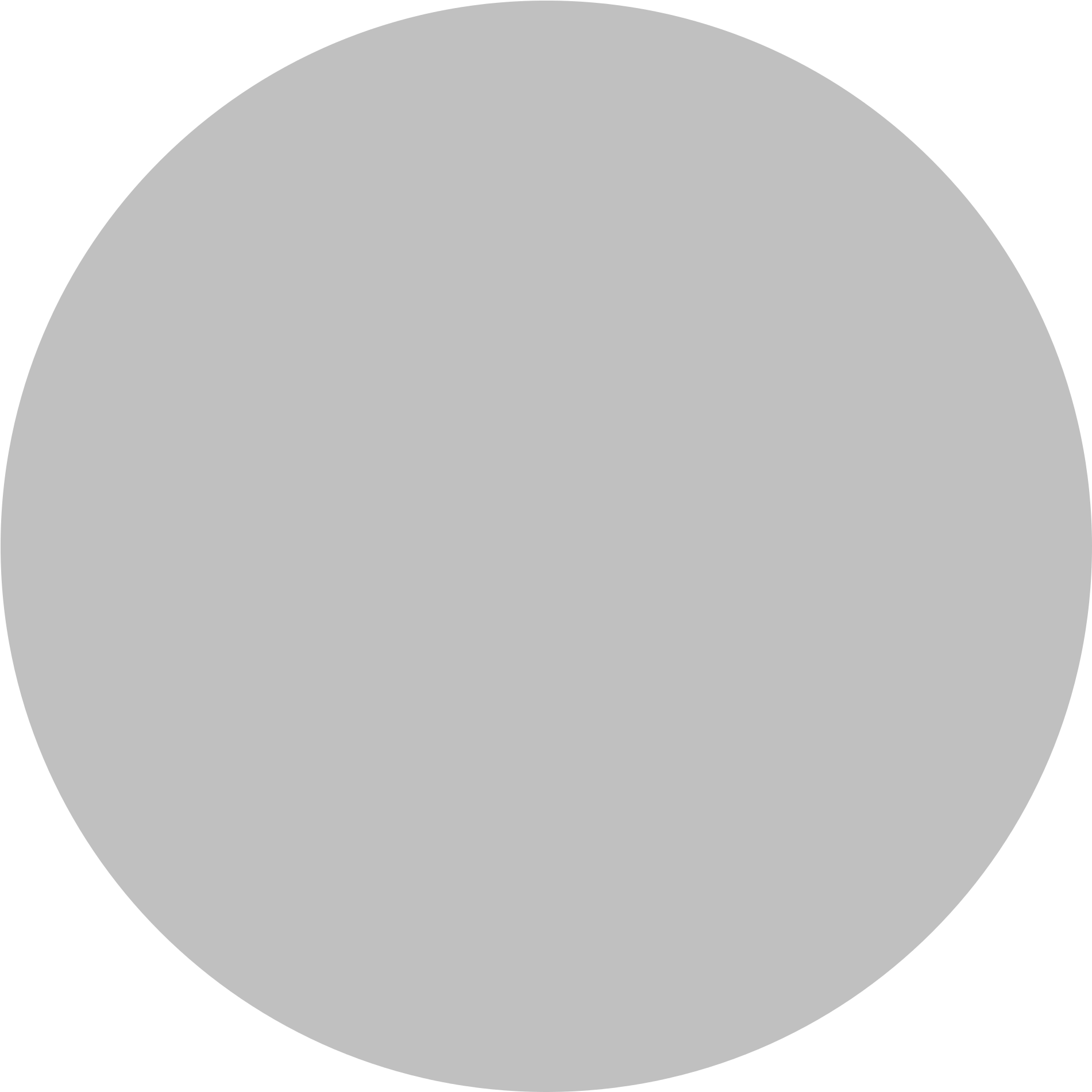 Guidance Software 360° Visibility - Circle Icon Color Gray Clipart (869x896), Png Download