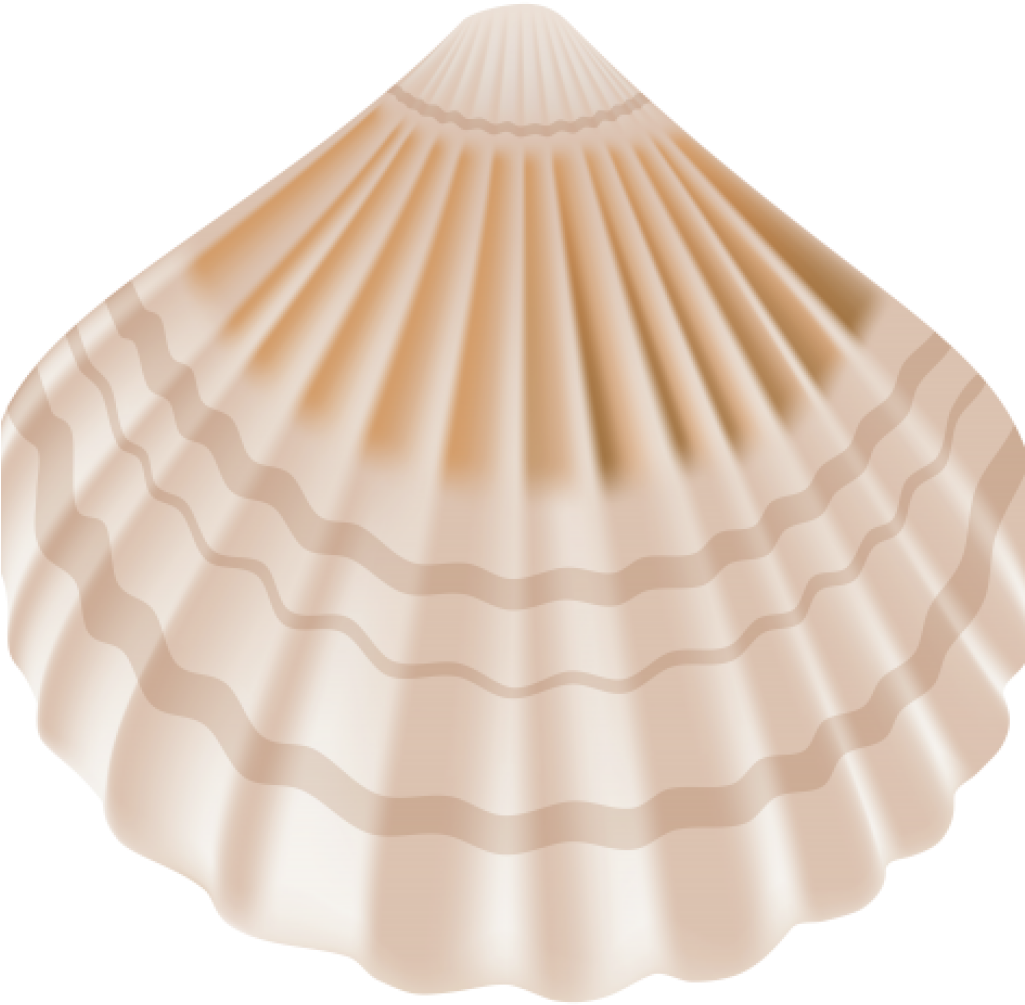 Clipart Seashell Seashell Png Clip Art Best Web Clipart - Transparent Sea Shell Png (1024x1024), Png Download