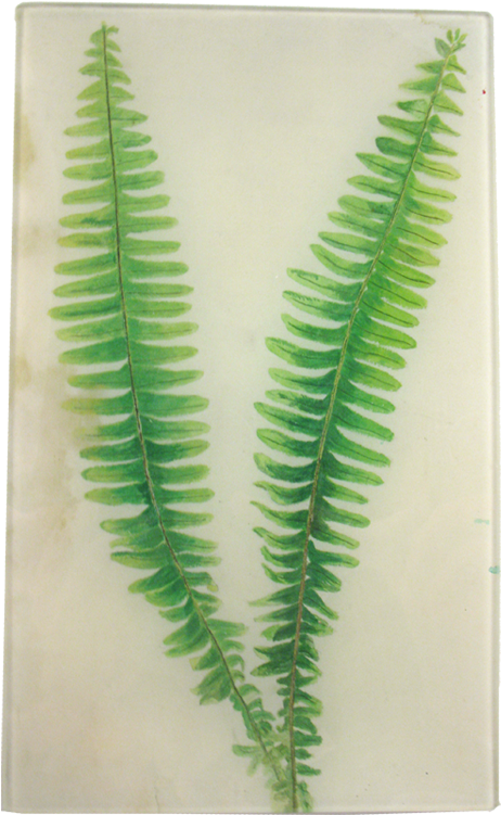 Painting Clipart (800x800), Png Download