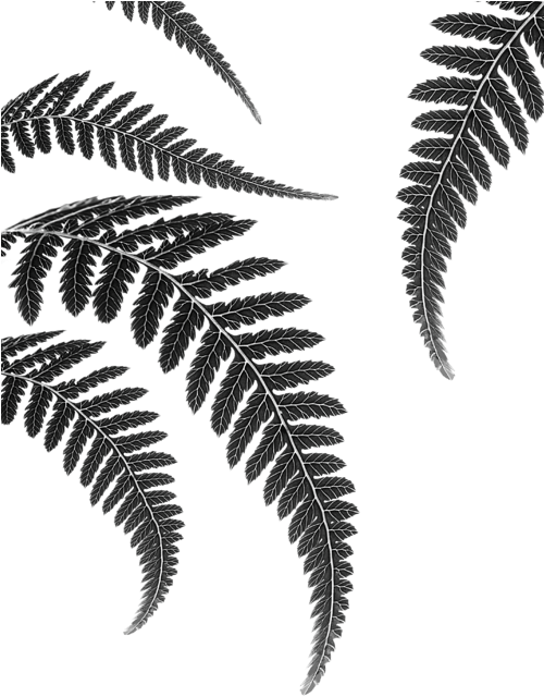 499 X 700 3 - Canvas Clipart (499x700), Png Download