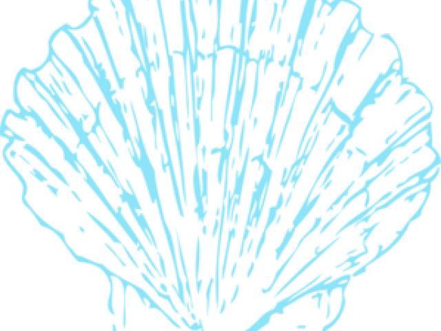 Blue Clipart Seashell - Clipart Seashell Png Transparent Png (640x480), Png Download