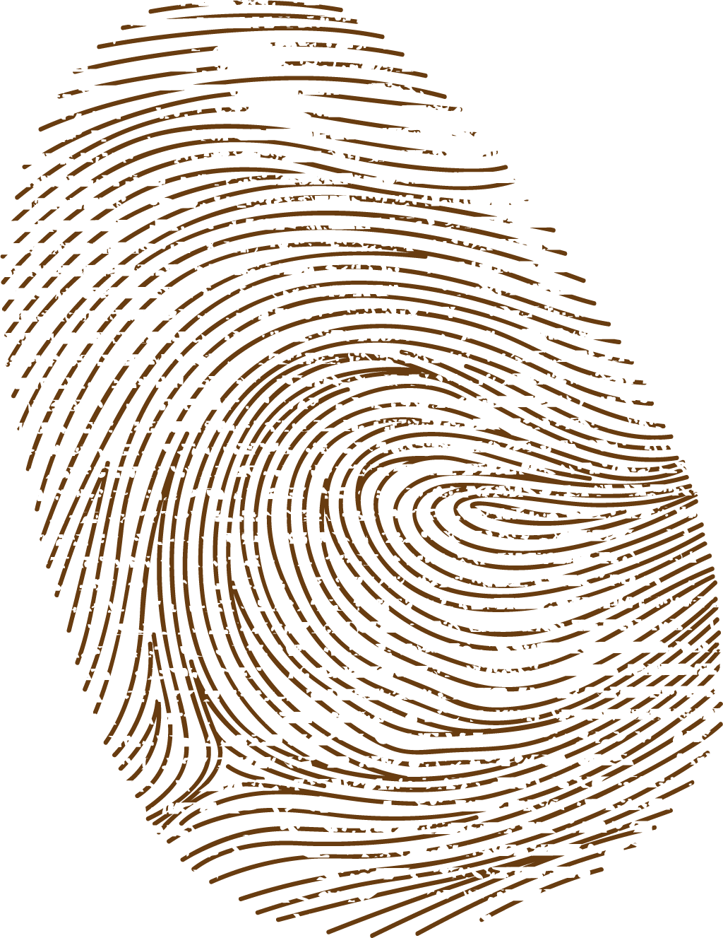 Brown Fingerprint Png Clipart (1024x1327), Png Download