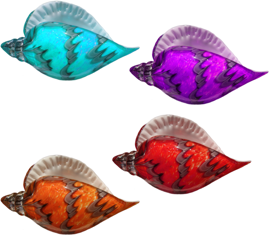 Seashells Png Clipart (979x816), Png Download
