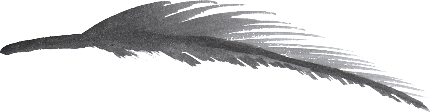 Free Download - Watercolor Feather Black Png Clipart (1443x376), Png Download