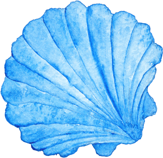 Blue shell