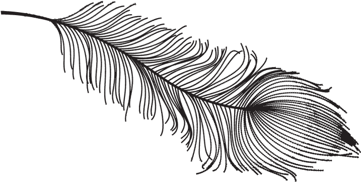 Vintage Feather Drawing Png Clipart (792x612), Png Download