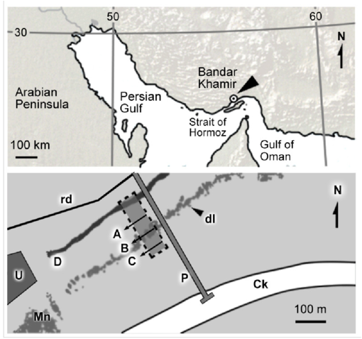 Above, Bandar Khamir - Map Clipart (850x484), Png Download