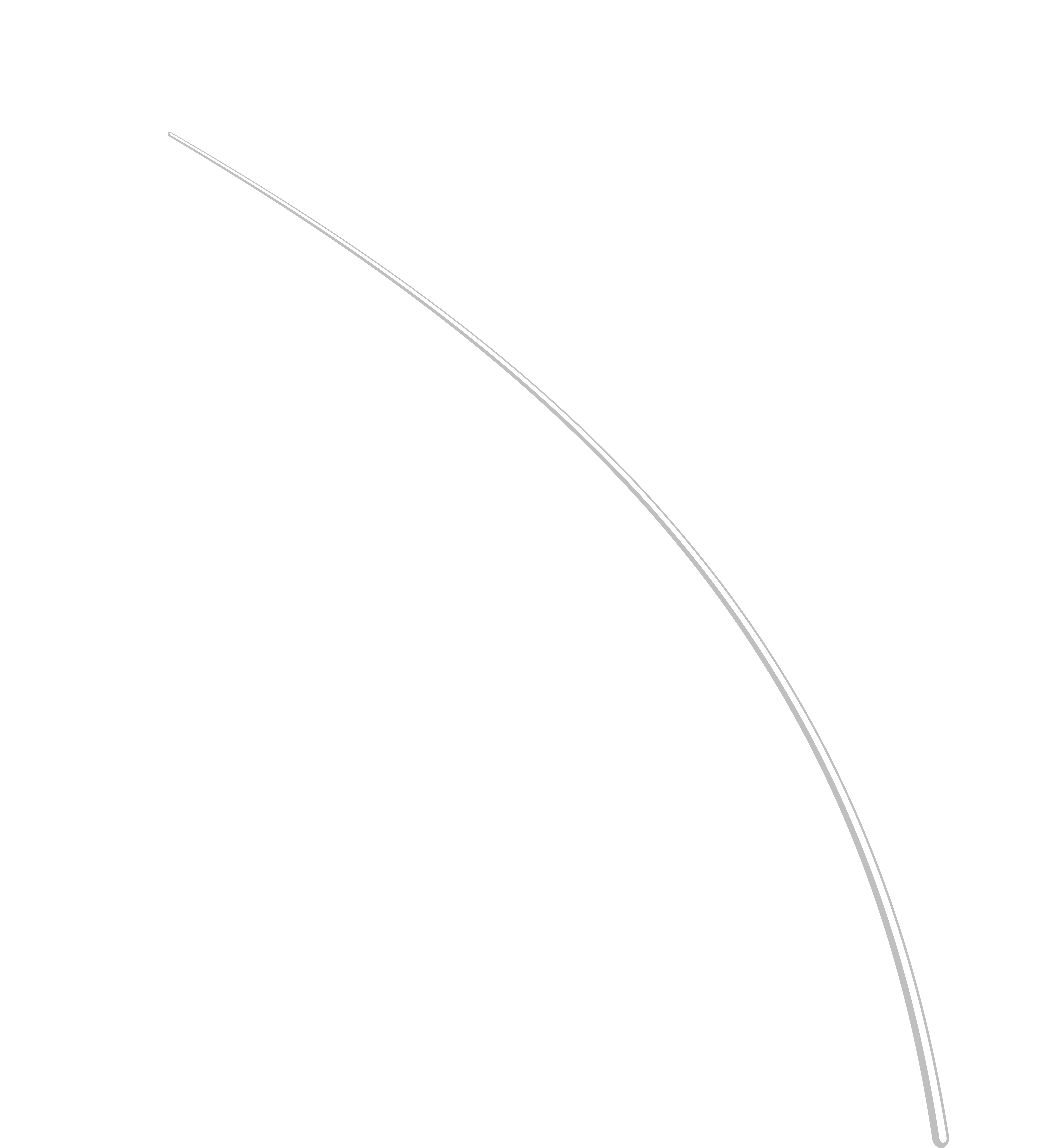 White Feather Clip Art Transparent Image - Png Download (7328x8000), Png Download