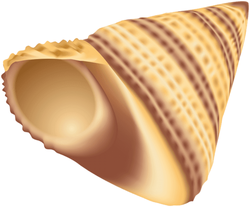 Free Png Download Hermit Crab Shell Clipart Png Photo - Wind Instrument Transparent Png (850x705), Png Download