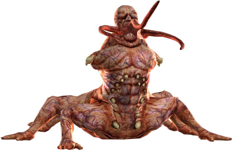 362kib, 800x529, Centaur - Xnalara Centaur Clipart (800x529), Png Download