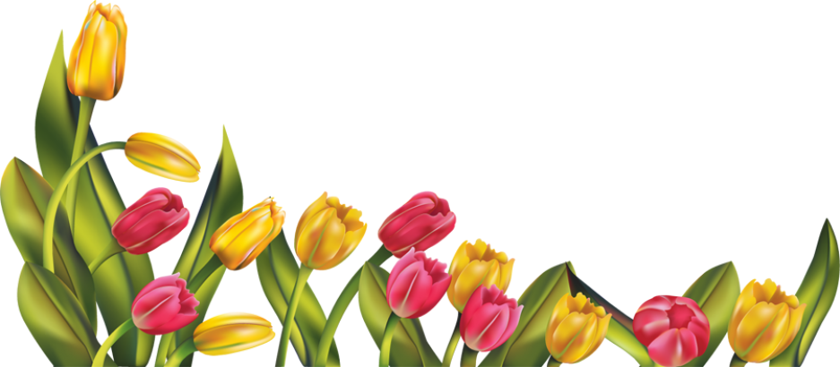 Alice - Tulip Png Clipart (937x410), Png Download
