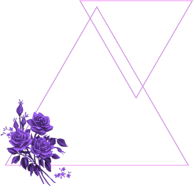 #mq #purple #flowers #frame #frames #border #borders - African Daisy Clipart (1024x1024), Png Download