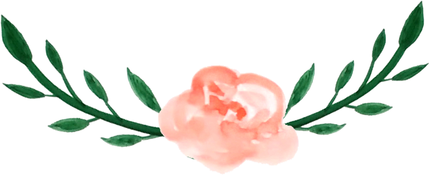 Last Year I Told You All A Few Things I Learned From - Transparent Floral Divider Clipart (1600x588), Png Download