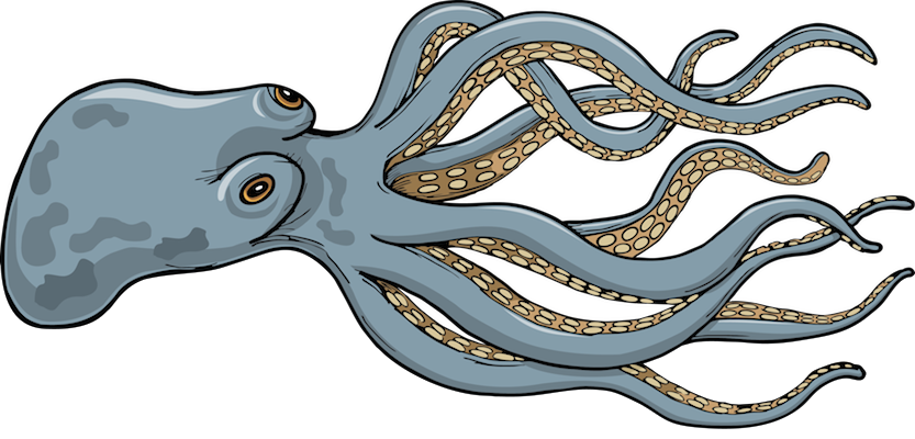 Giant Squid - Giant Squid - Illustration Clipart (833x400), Png Download