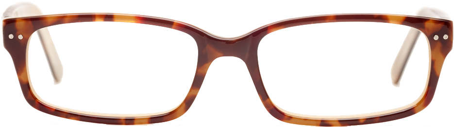 Penn Avenue Eyewear - Lenskart Frames Cat Eye Clipart (994x360), Png Download