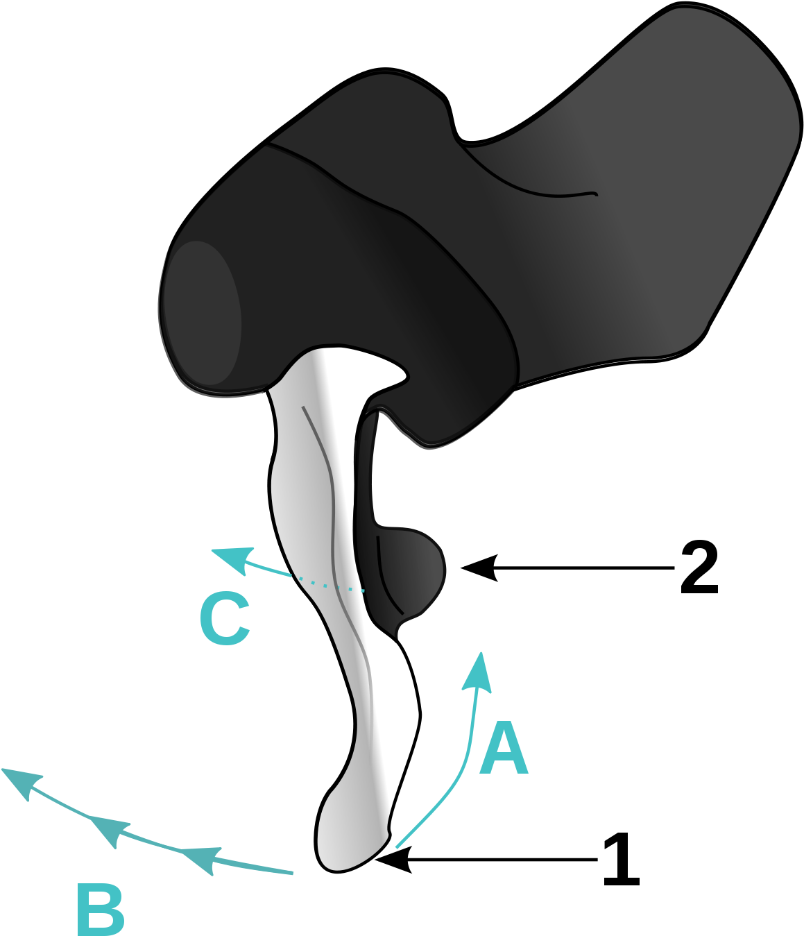 Shimano Total Integration - Shimano Sti Integrated Shifters Clipart (1200x1387), Png Download