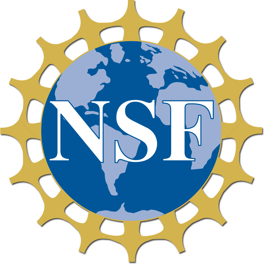 Official Nsf Logo Clipart (1001x999), Png Download