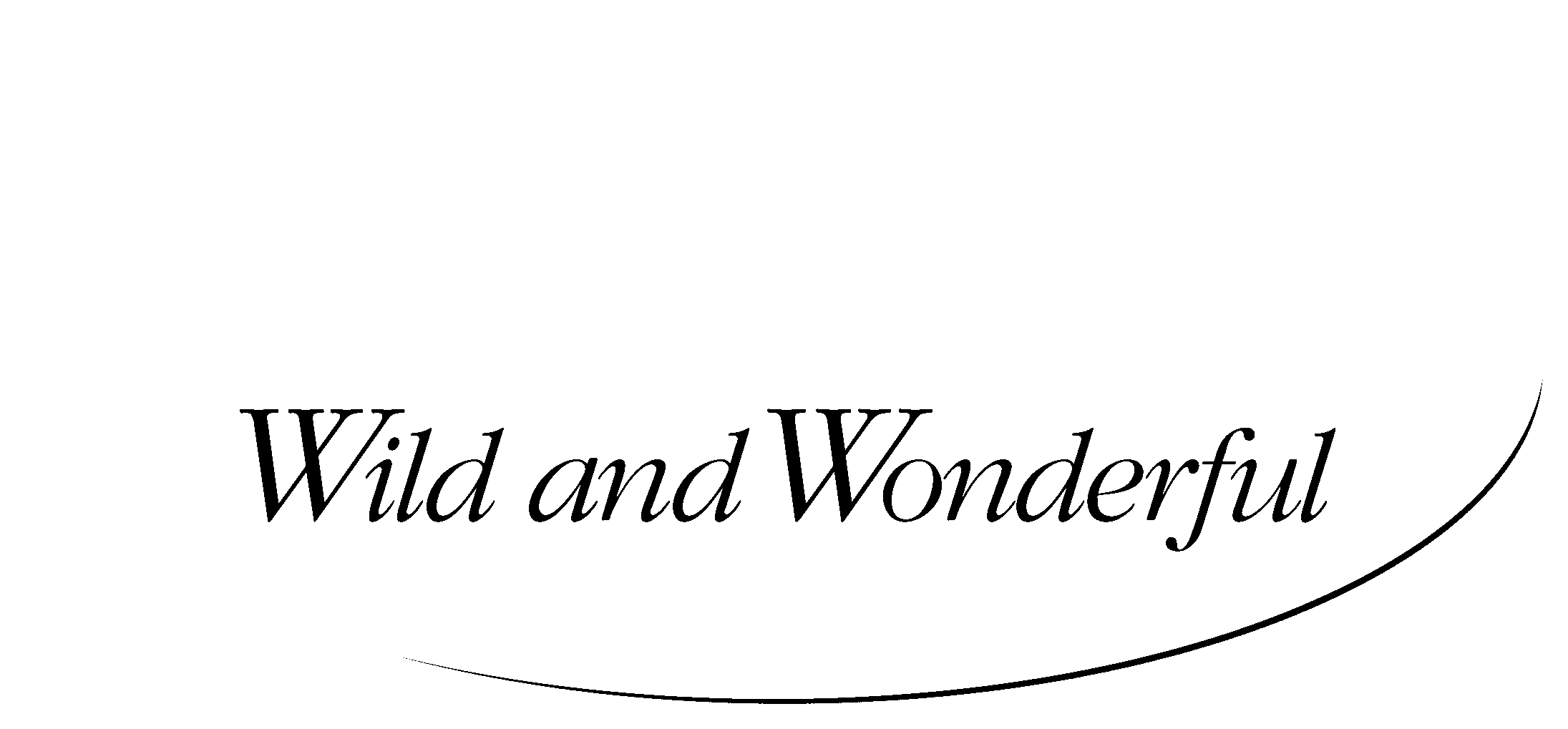 West Virginia Logo Black And White - Line Art Clipart (2400x2400), Png Download