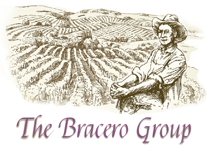 Vineyard Vineyard Vineyard Vineyard - Drawing Clipart (716x501), Png Download