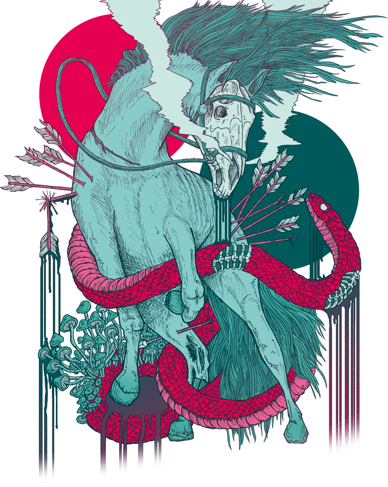 Buy - Palehorse Palehorse Clipart (800x1003), Png Download