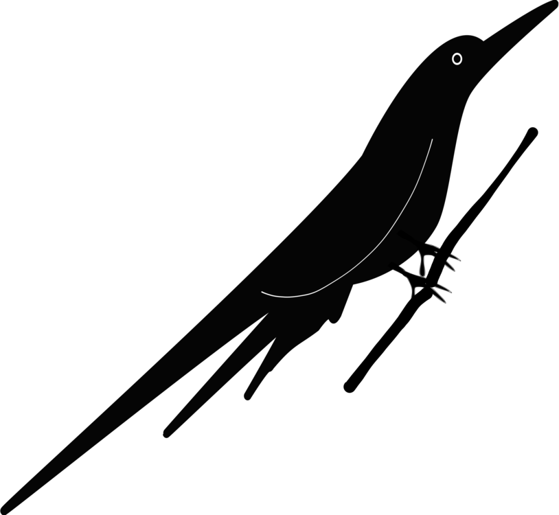 Svg Free American Bird Passerine Common Raven Free - Beak Clipart (814x750), Png Download