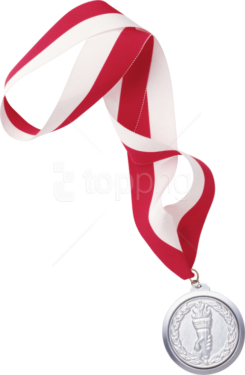 Medal Clipart (480x734), Png Download