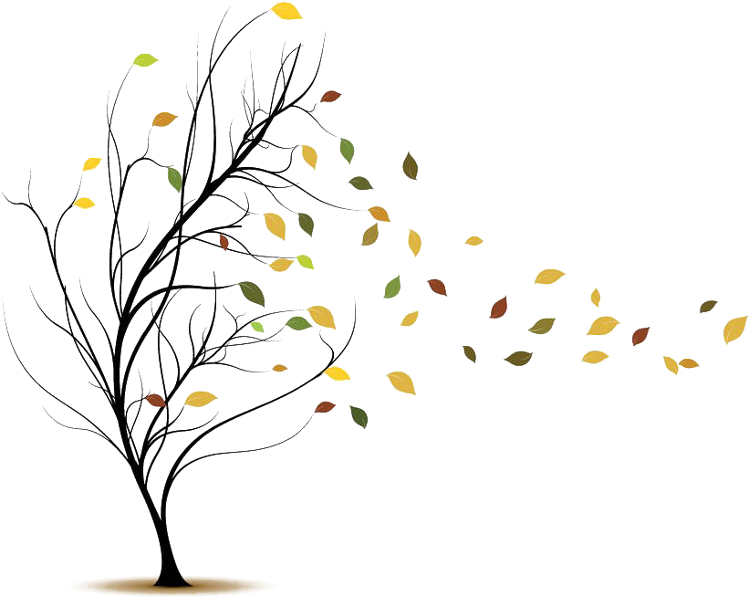 Blowing Leaves Png - Tree Blowing In The Wind Png Clipart (1000x696), Png Download
