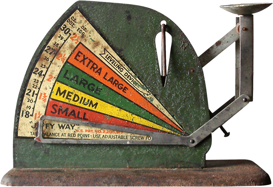 Egg-scale - Wood Clipart (1000x680), Png Download