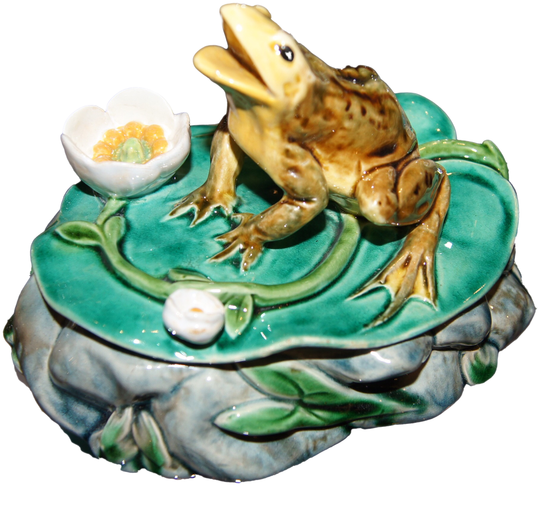 Home Also We Do Not Offer Appraisal - Colorado River Toad ...