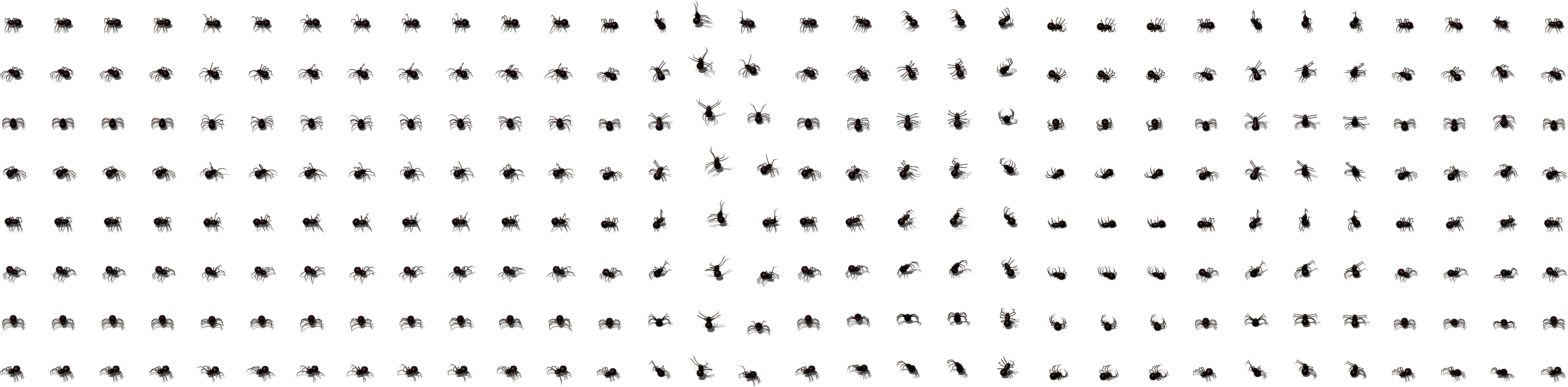 Spider Giant - Top Down Skeleton Sprite Clipart (4096x1024), Png Download