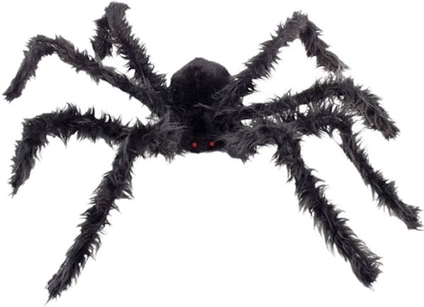 Giant Hairy Spider - Zirneklis Clipart (600x951), Png Download