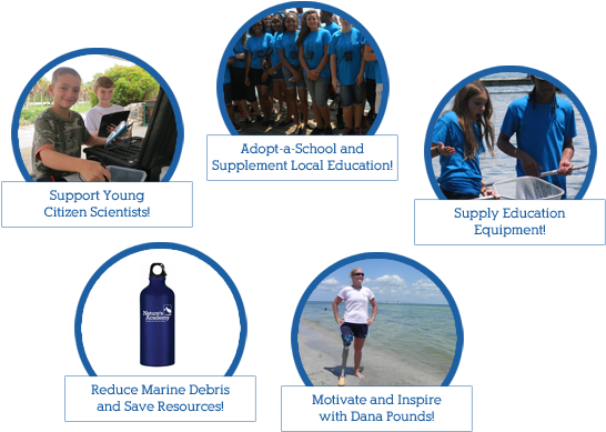 Join Us As We Help Raise Awareness For Shark Conservation - Graphic Design Clipart (960x388), Png Download