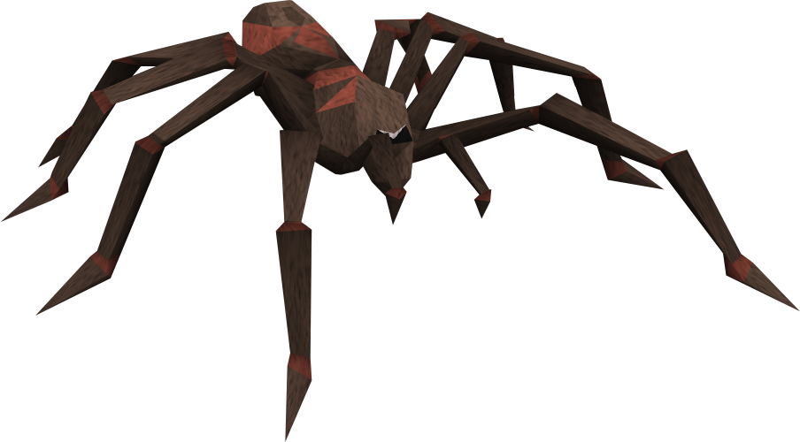 Araneus Cavaticus Clipart (904x500), Png Download