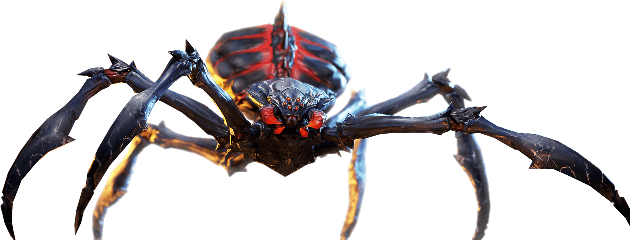 Spider Queen - Macro Photography Clipart (2490x896), Png Download