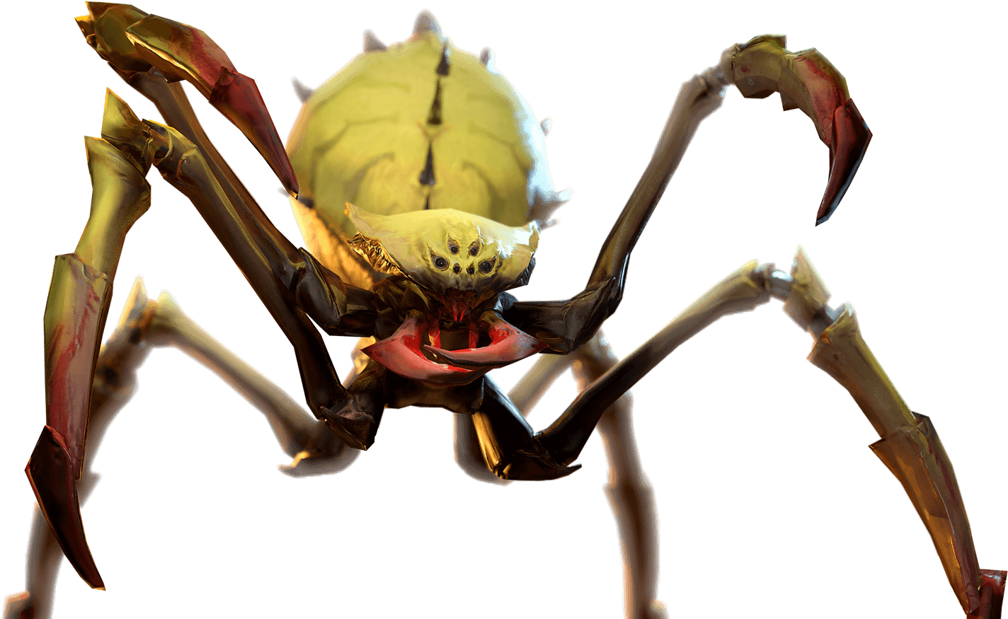 Soldier Spider - Macro Photography Clipart (2490x896), Png Download