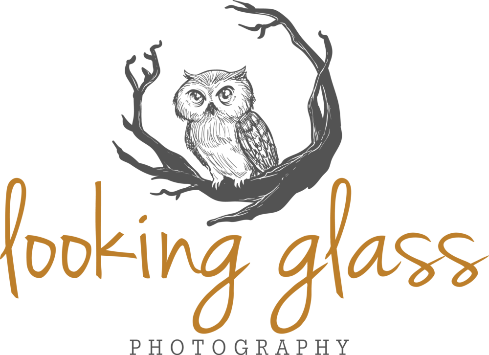 Looking Glass Format=1500w Clipart (1000x726), Png Download