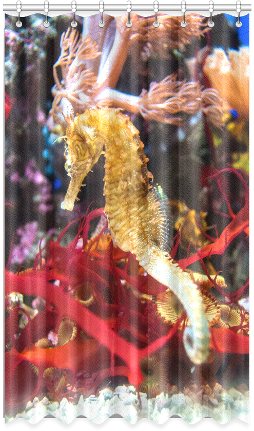 Picture Frame Clipart (1000x1000), Png Download