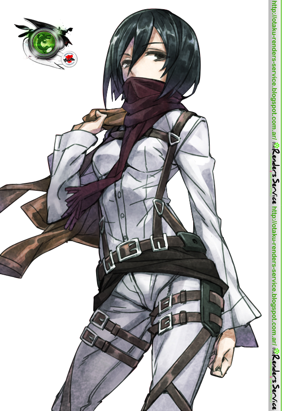 Battle Pose V4 - Mikasa Png Clipart (581x847), Png Download
